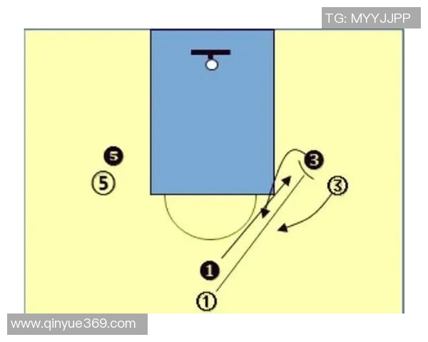 重庆篮球队战术深度解析与对比分析揭示球队胜负关键因素